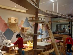 -滚猫咖啡·猫咖·猫友好撸猫(未来城店)