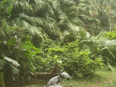 -深圳野生动物园
