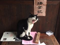 -金华市剪纸博物馆