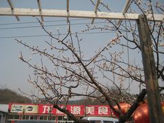 -龙福源密云水库灶台鱼