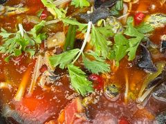 -金三角黄腊丁(奥体店)