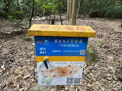 -火炉山森林公园