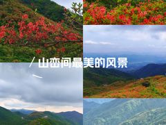 -大围山国家森林公园