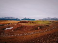 -山丹皇家马场