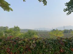 -北京张裕爱斐堡酒庄