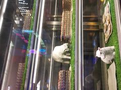 -肉串汪(望京店)