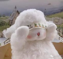 -兰瑜伽·普拉提