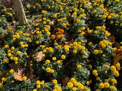 -欢乐空间KTV(奥山世纪城店)