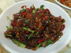 酸菜炒粉皮-笨罗卜浏阳菜馆(龙华鹏润达店)