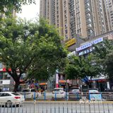 童圆鸡杂，十年老记忆