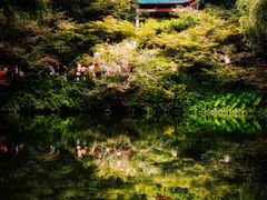 -岳麓山风景名胜区