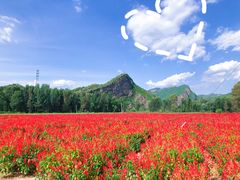 -乌龙峡谷景区