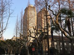 -复旦大学光华楼