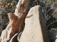 -宝岩生态观光园