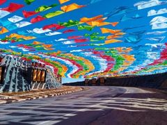 -青海湖国家重点风景名胜区