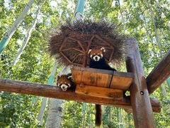 -北京野生动物园