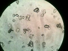 -荣耀金沙动物医院(清江西路店)