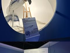 -重庆欢乐海底世界