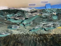 -成都浩海立方海洋公园