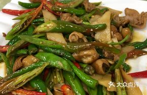 Young Ginger and Pork Intestines