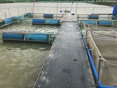 -辉记虾塘海鲜农庄