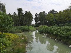 -天府芙蓉园