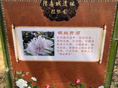 -洛阳市隋唐城遗址植物园