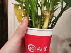 -裕和堂中医推拿艾灸(太古汇臻品店)
