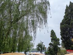 -济南大明湖景区