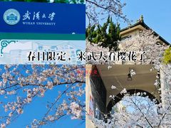 -武汉大学-樱园