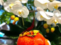 -卷心卷意·轻甜蛋糕(新光天地店)