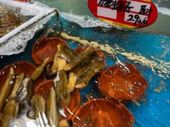 -旺角小渔村(幸福中路店)