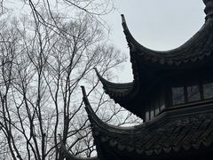 -拙政园