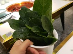 -洪氏嗨捞·猪肚鸡火锅(阳光天地店)
