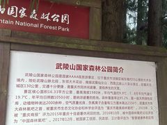 -武陵山森林公园