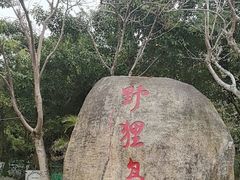 -野狸岛