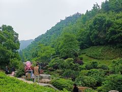 -桃花岭景区