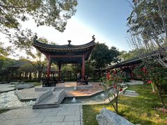 -顺峰山公园