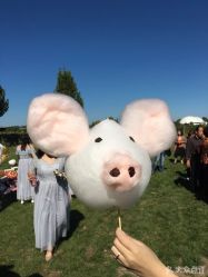 -圣露庄园·草坪婚礼·宴会厅·会议