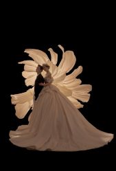 -拾尚映画·STUDIO婚纱摄影(中关村店)