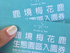 -鹿境梅花鹿生态园区
