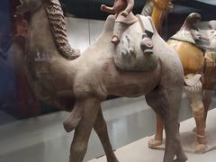 -西安大唐西市博物馆