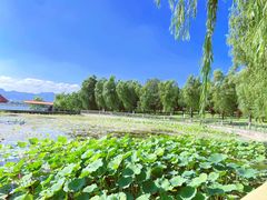 -青龙湖公园