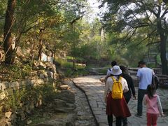 -井塘古村