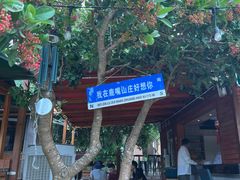 -杨梅坑