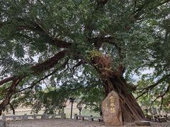 -云水谣景区