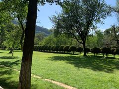 -延安杨家岭革命旧址