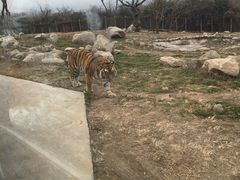 -西安秦岭野生动物园