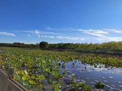 -天津东丽湖风景区