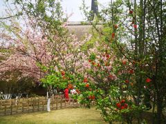 -成都南湖公园